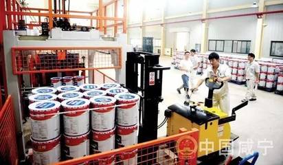 立邦涂料咸寧工廠首條生產線投產，年產值50億元項目啟航