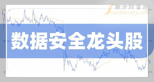 中國數據安全龍頭股名單 聚焦網絡與信息安全軟件開發企業
